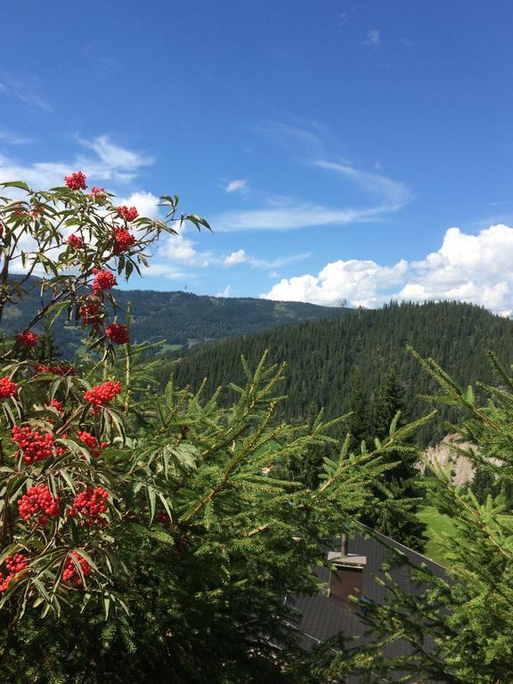 Haus Johanna Radstadt Dış mekan fotoğraf