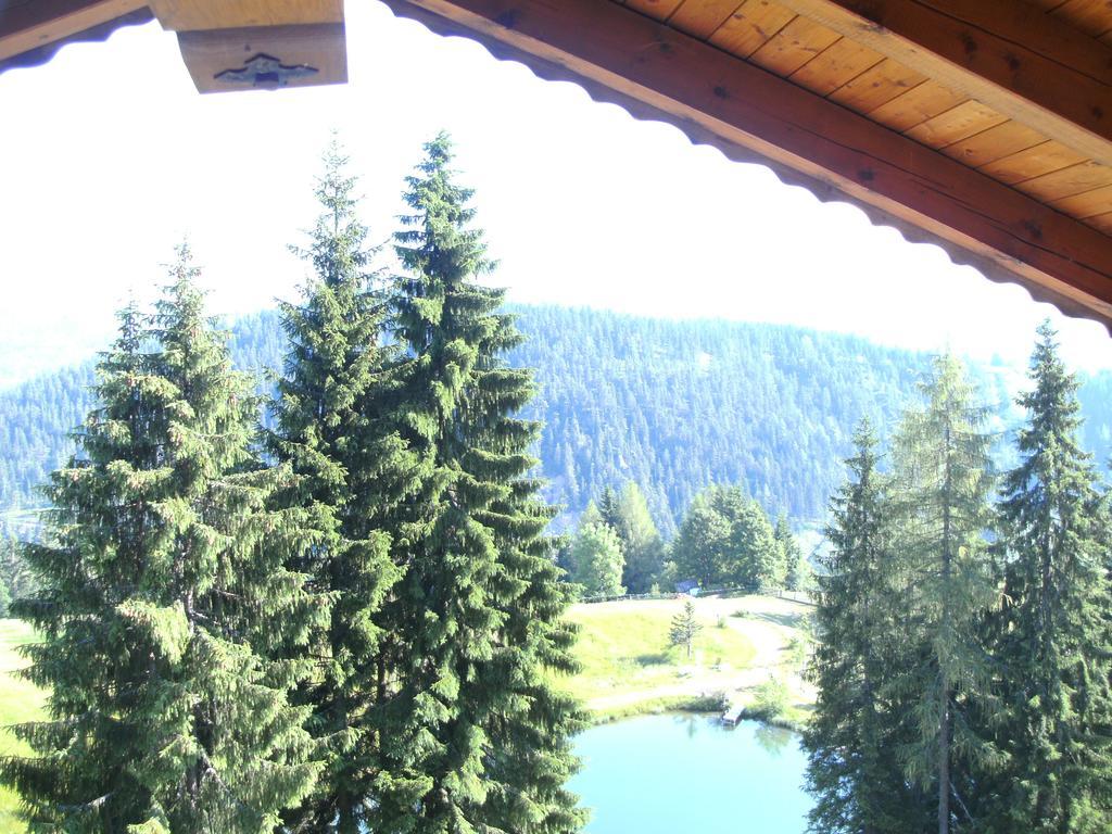 Haus Johanna Radstadt Oda fotoğraf